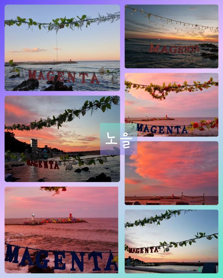 Magenta Villa Donghae Bagian luar foto